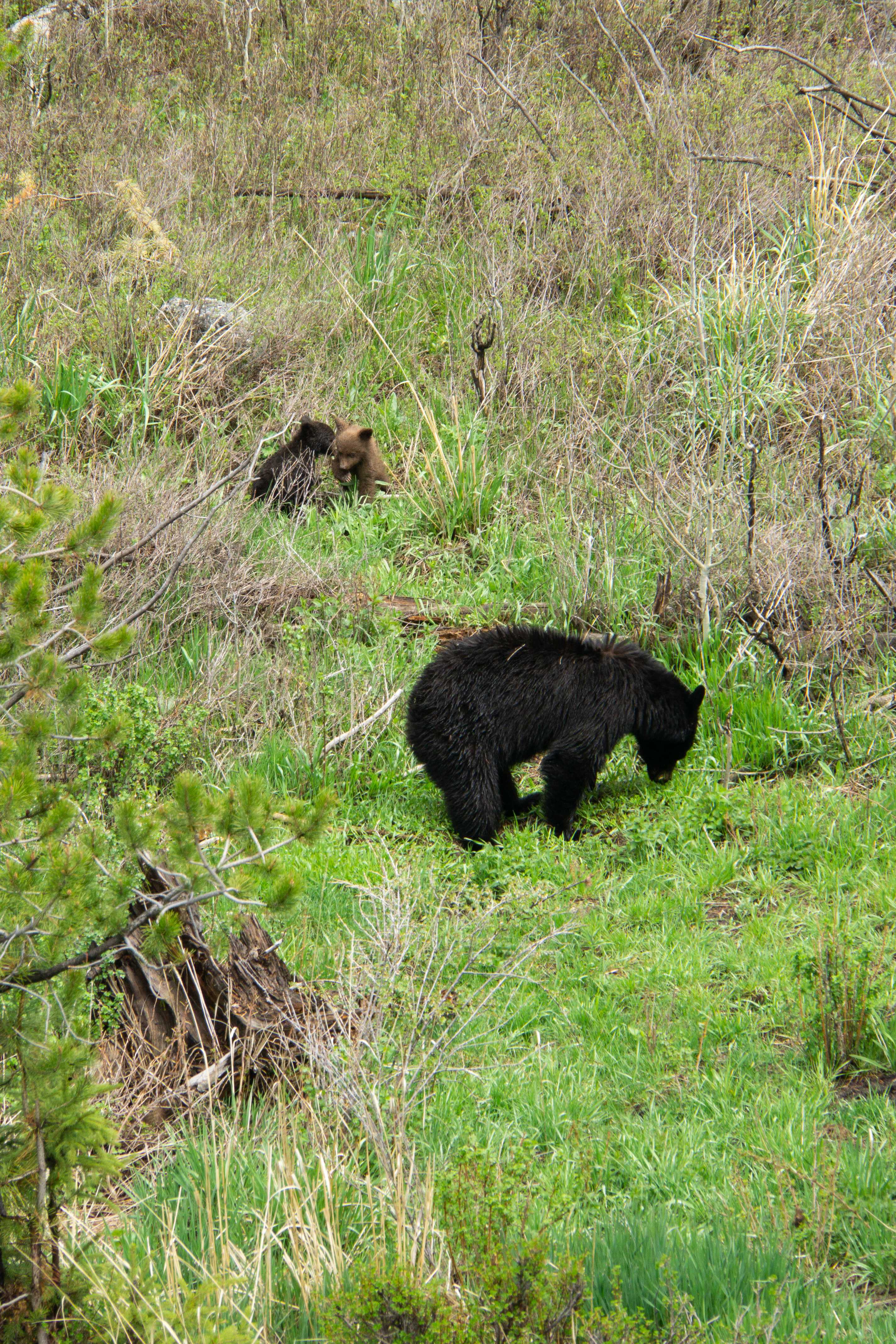 US National Parks 2022 49